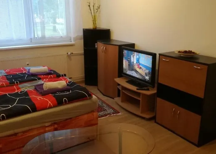 Flat For 2 People, Wifi オストラヴァ